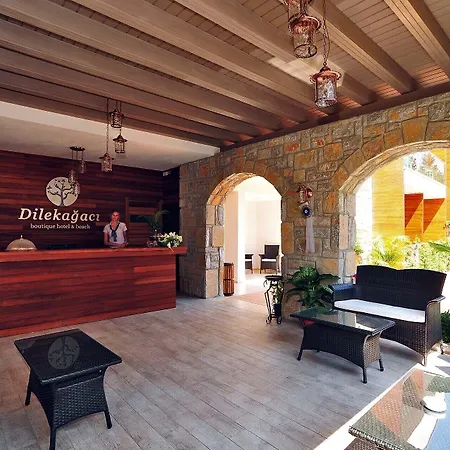 Dilekagaci Boutique And ホテル 4*