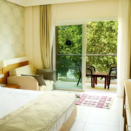 Dilekagaci Boutique And 酒店 4*
