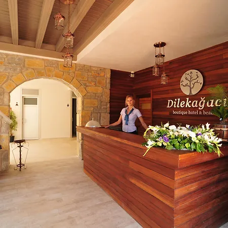 酒店 Dilekagaci Boutique And 4*
