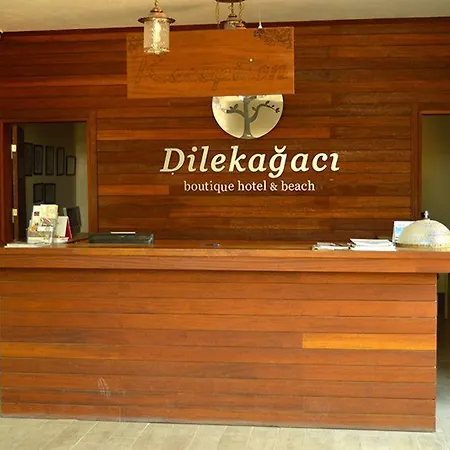 Dilekagaci Boutique And 호텔